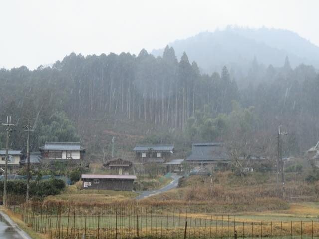 【京都市右京区京北西町】民家裏山の木を伐採し搬出させていただきました