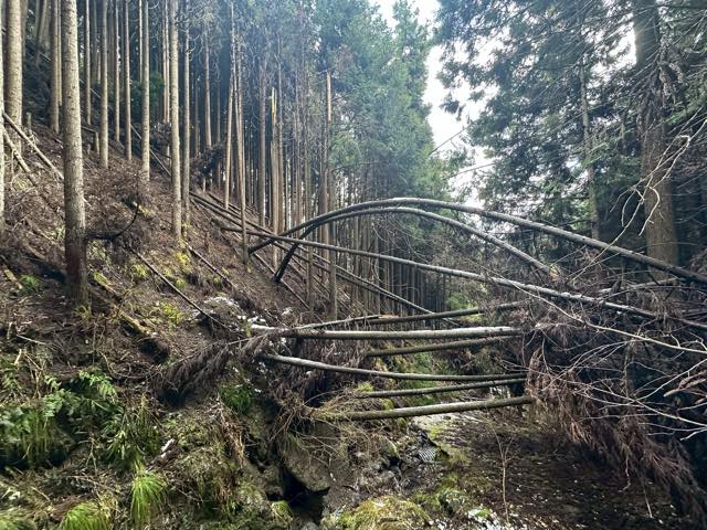地震や台風などでダメージ受けて荒廃してしまい