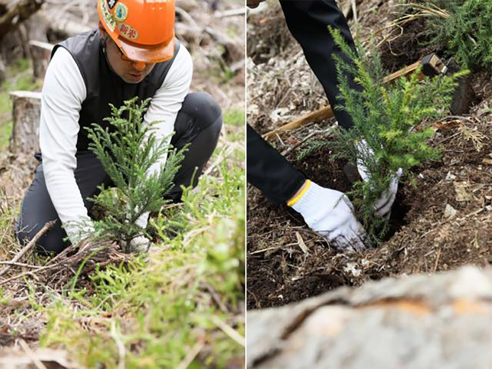 木を植えて山を育てる「山林管理」