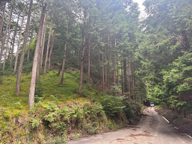 山林の評価額の目安 都市近郊・別荘地周辺など