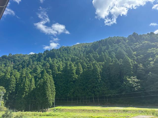 山林相続で本当に注意すべきこと