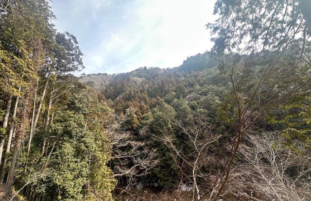 なぜ相続登記は義務になったの?