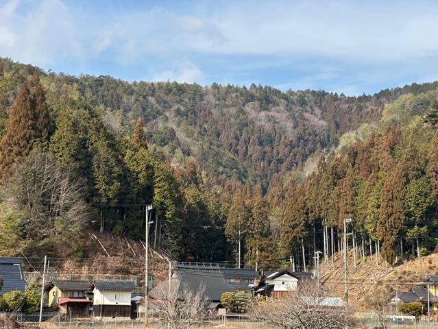 現在、持ち主がいない山が増えています。