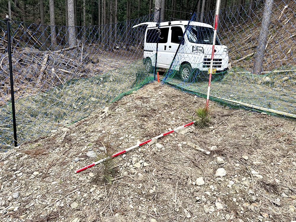 鹿や野ウサギから苗木を守るための鹿よけネット（防獣ネット）です。
